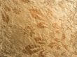 Golden plate background