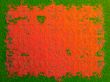 Red paint