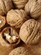 walnuts