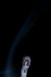 Match with smoke isolated in dark background