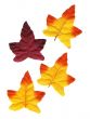 Decoration Leaves