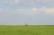 Tank Trailer