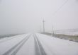 Telephone poles on road to nowhere