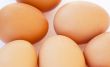 Egg white background