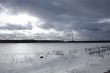 Power Line