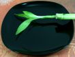Bright Green Bamboo on Black Reflective Plate
