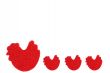 Red chicks