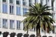 Building with palm