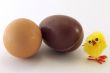 Chick, egg and chocolate