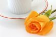 Rose at breackfast