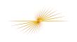 Yellow Line Abstract Twirl on White