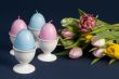 easter eggs and flowers