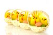 chicks with eggs