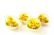 Happy easter