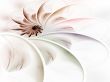 Layered Curves Spiral Abstract Background