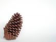 A cone