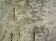 Tree crust