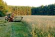 A man operates an old tractor