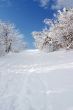 snow and sky