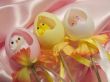 Chicks in the eggs