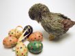 Easter eggs with duck