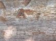 texture - Old wooden board