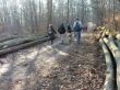 Hikers