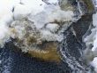 Stream waves