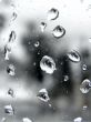 Rain drops