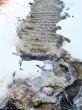 Stream through snow