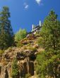 Ponderosa Pine and modern house