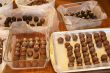 Chocolate truffles in trays