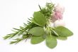 Bouquet Garni