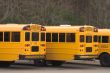 School Buses