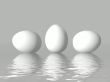 White  chicken`s eggs
