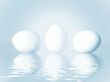 White eggs