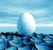  One egg.
