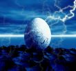 Egg