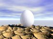 One egg