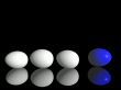  White chicken`s and eggs one blue egg.