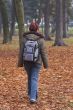 Autumn walk