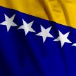 Bosnian Flag Closeup