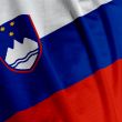 Slovenian Flag Closeup