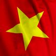 Vietnamese Flag Closeup