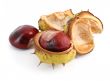 chestnuts on white