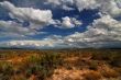 Desert Skys 2