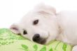 Tired