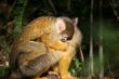 Hiding with mom