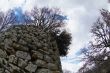 Ruins of a castle