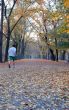 Running in autumn